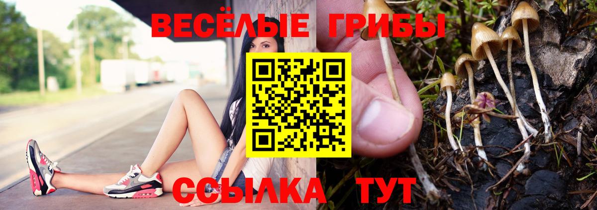 дарнет шоп  Вход с VPN  Михайловск  Псилоцибиновые грибы MAGIC MUSHROOMS 
